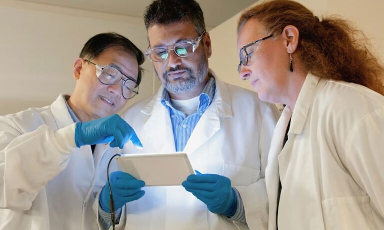 domesticnulceardetectionoffice Explained: The Silent Shield Keeping Us Safe